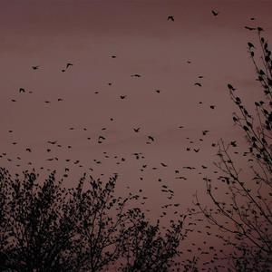 国产做a爰片AAAAAOOOO
